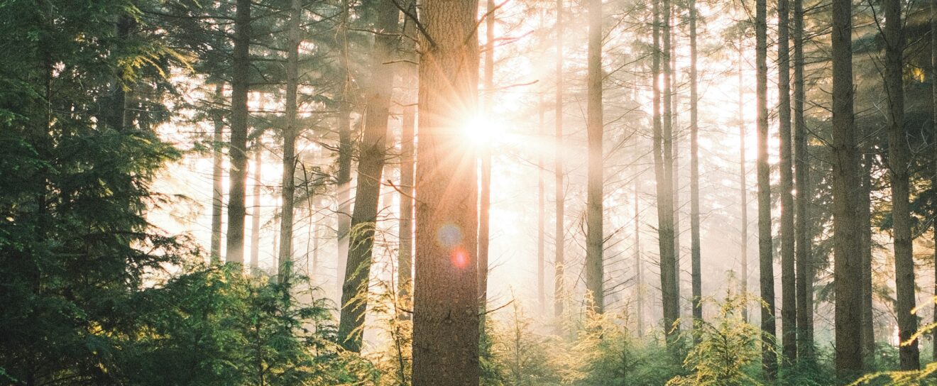 Google casse le suivi de positions et l’importance de ChatGPT pourrait être surestimée – SEO News Septembre 2025