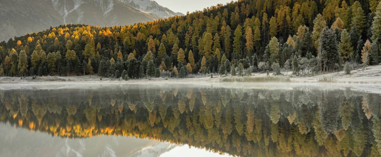 Pas de Core Update, mais Gemini 3 et le rapport Local Ranking Factors à découvrir  – SEO News Novembre 2025