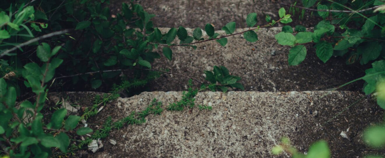 Guide de mise en œuvre du SEO IA : workflow en 4 étapes pour WordPress