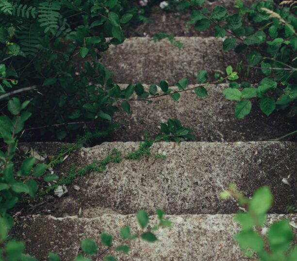 Guide de mise en œuvre du SEO IA : workflow en 4 étapes pour WordPress