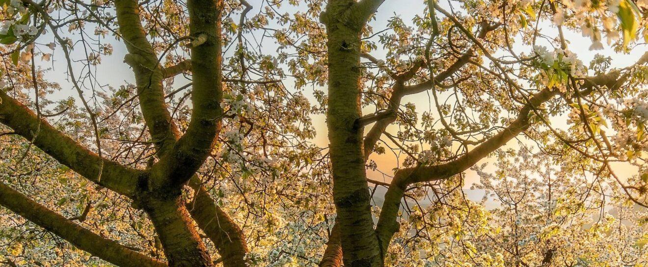 Les outils de recherche luttent contre le spam et les fake news – Actualités SEO mars 2026