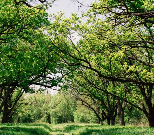 Performances accrues, suivi personnalisé des mots clés et nouveau tableau de bord puissant – SEOPress Insights 3.0