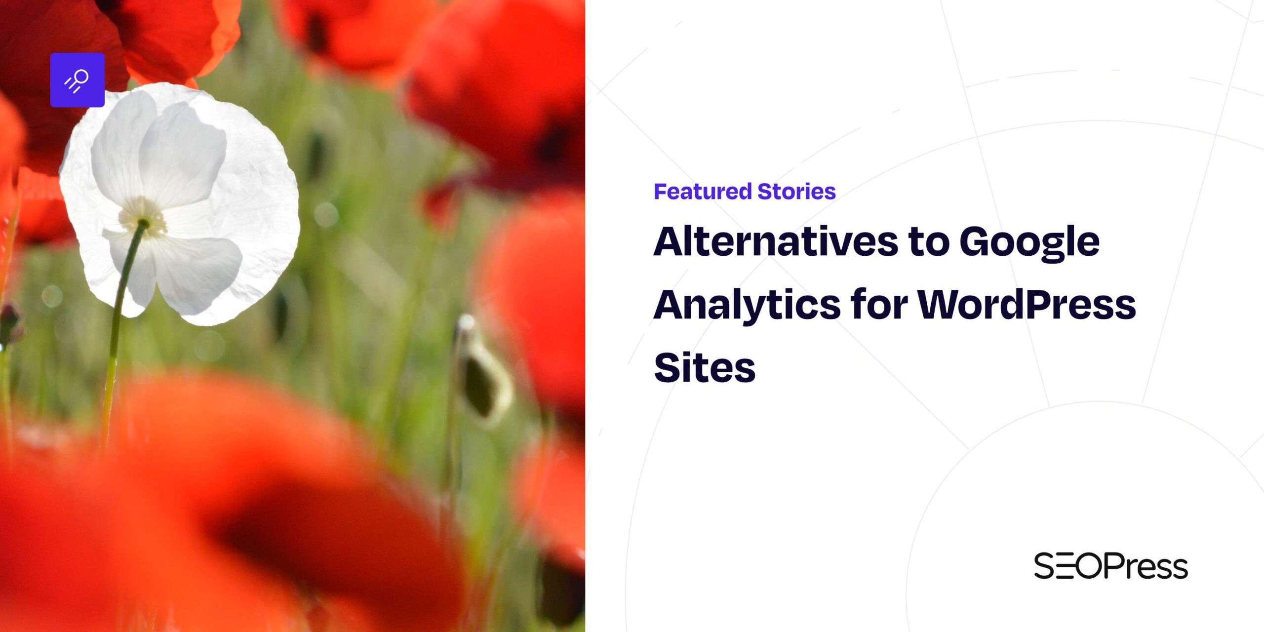 Alternatives to Google Analytics for WordPress Sites - SEOPress