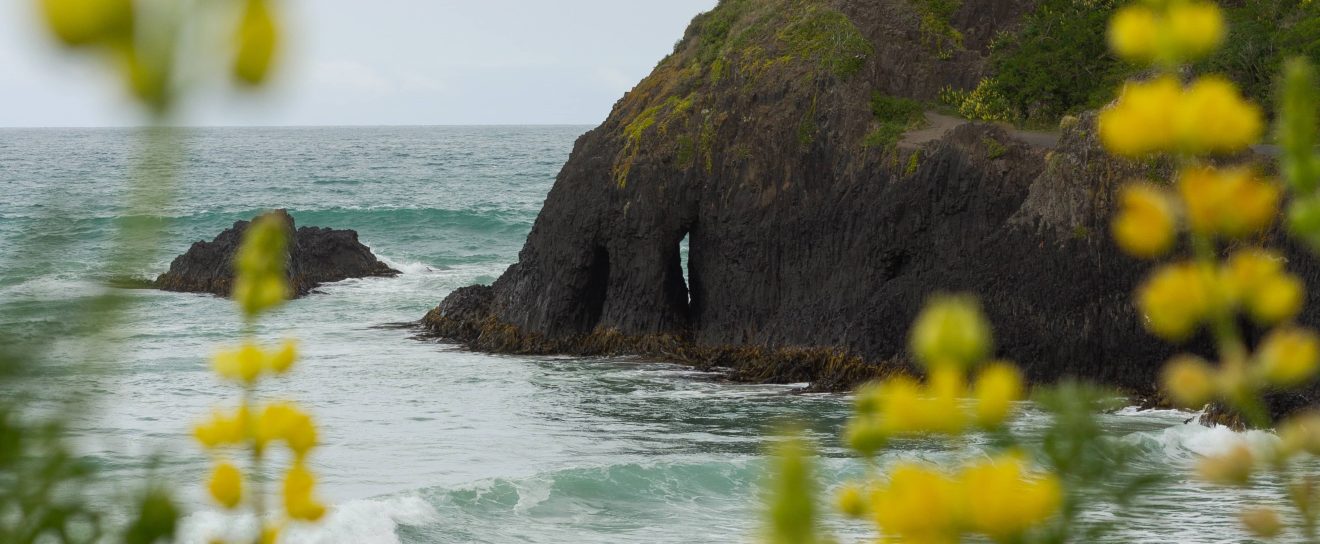 Core Update, Bugs, Anti-Trust and the Expansion of AI Overviews – Google News August 2024