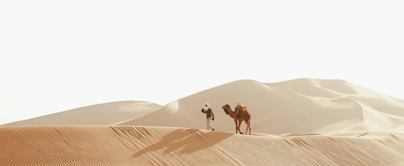 Fastly evolving search engines, Instagram SEO and a Google Core Update  – SEO News July 2025