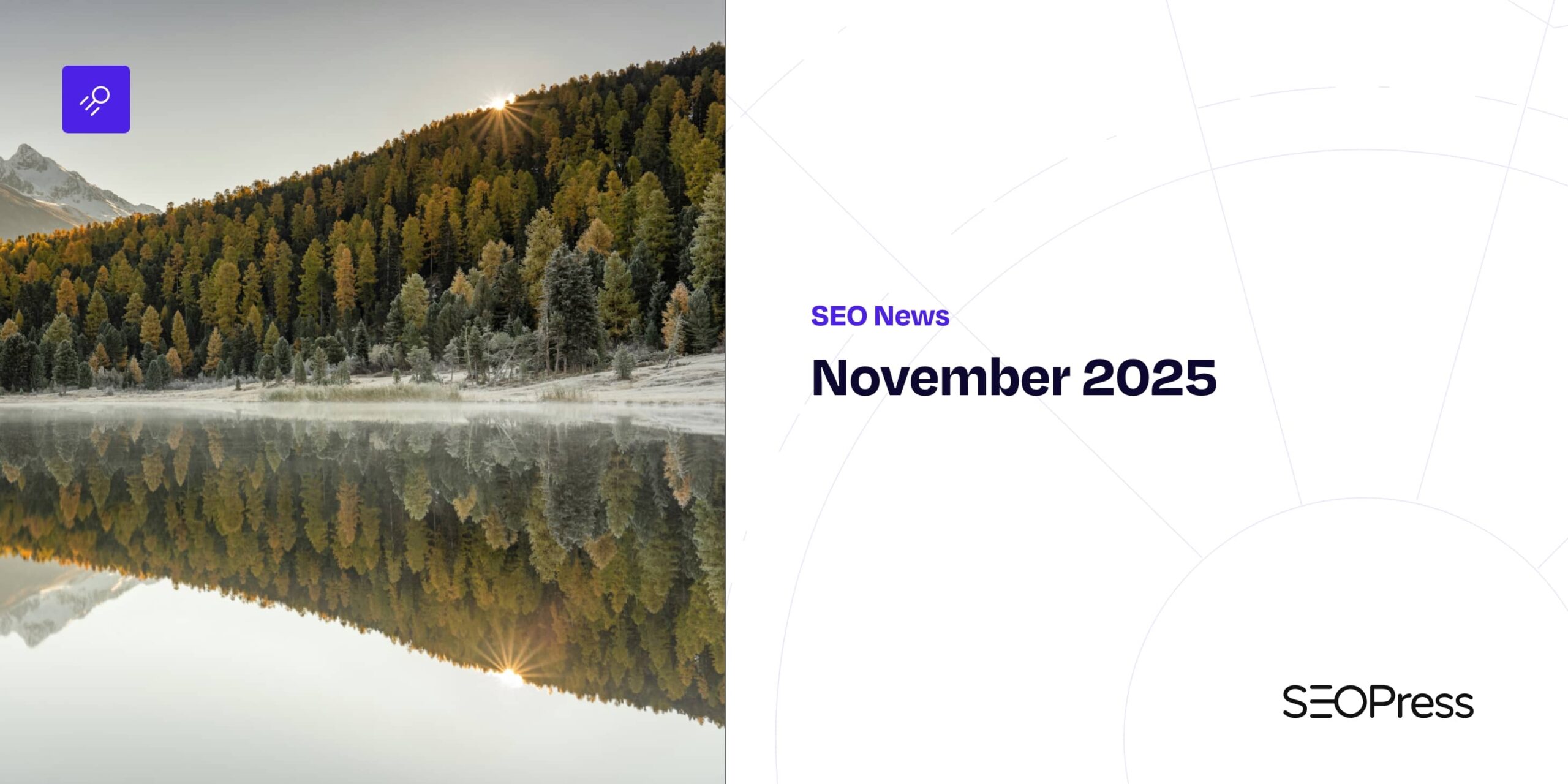 local seo news november 2025