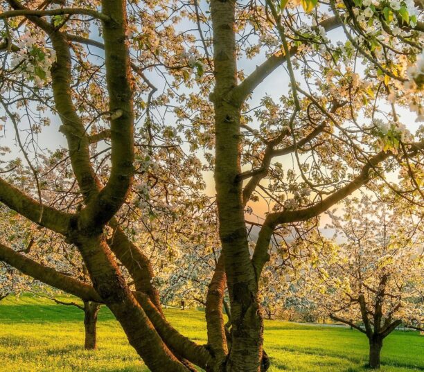 Search Tools Fight Spam and Fake News - SEO News March 2026