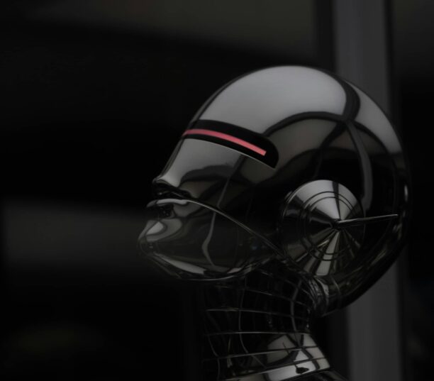 wordpress robots