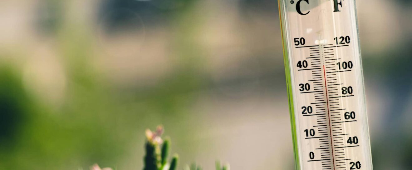 Hot Summer of Google Updates Begins – SEO News June 2026