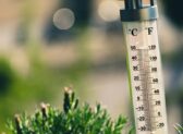 Hot Summer of Google Updates Begins - SEO News June 2026