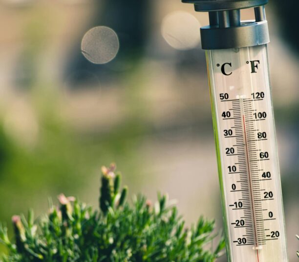 Hot Summer of Google Updates Begins - SEO News June 2026