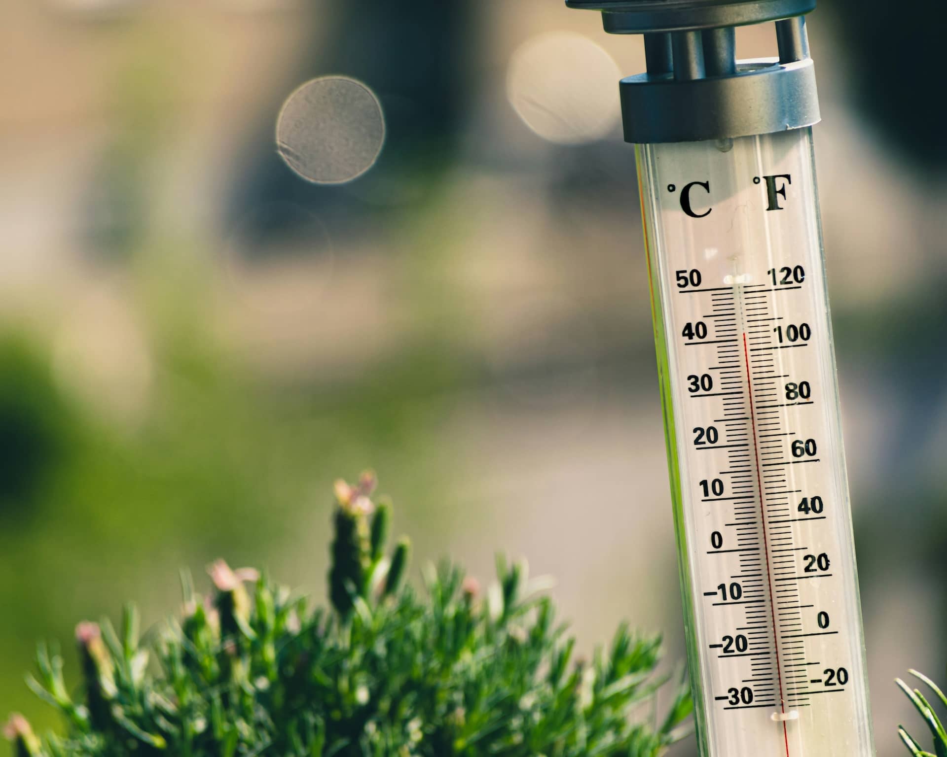 Hot Summer of Google Updates Begins – SEO News June 2026